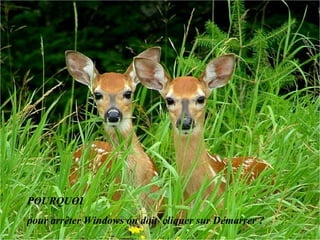 POURQUOI  pour arrêter Windows on doit  cliquer sur Démarrer ?  