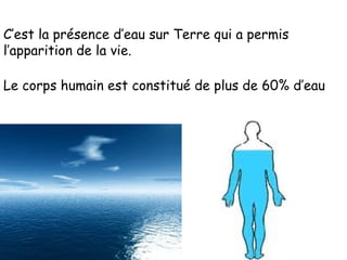 C’est la présence d’eau sur Terre qui a permis l’apparition de la vie. Le corps humain est constitué de plus de 60% d’eau 