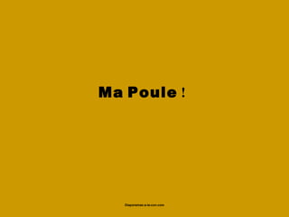 Ma Poule !
     
     

           

   Diaporamas-a-la-con.com
 