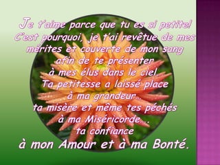 Je t’aime parce que tu es si petite!C’est pourquoi, je t’ai revêtue de mes mérites et couverte de mon sang afin de te présenter à mes élus dans le ciel.Ta petitesse a laissé place à ma grandeur…ta misère et même tes péchés à ma Miséricorde….ta confiance à mon Amour et à ma Bonté.