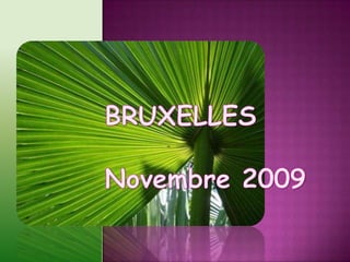 BRUXELLESNovembre 2009