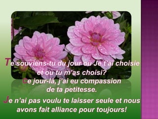 Te souviens-tu du jour où Je t’ai choisie et où tu m’as choisi?Ce jour-là, j’ai eu compassion de ta petitesse.Je n’ai pas voulu te laisser seule et nous avons fait alliance pour toujours!