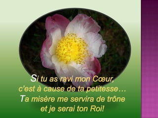 Si tu as ravi mon Cœur, c’est à cause de ta petitesse…Ta misère me servira de trône et je serai ton Roi!