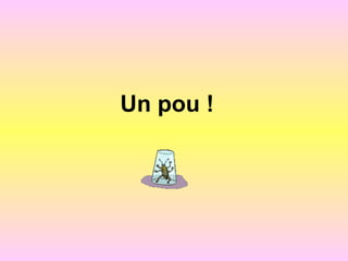 Un pou !
 
