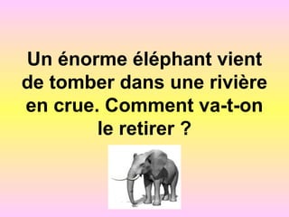Un énorme éléphant vient
de tomber dans une rivière
en crue. Comment va-t-on
le retirer ?
 