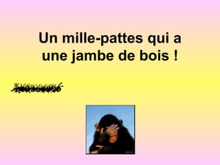 Un mille-pattes qui a
une jambe de bois !
 