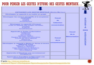 POUR PENSER LES GESTES D’ETUDE: DES GESTES MENTAUX…
D’après http://www.ien-versailles.ac-
versailles.fr/Espace%20pedagogique/Apprendreaapprendre/Apprendreaapprendre.htm
 