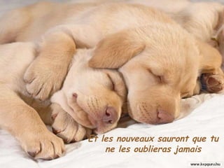 Et les nouveaux sauront que tu ne les oublieras jamais 