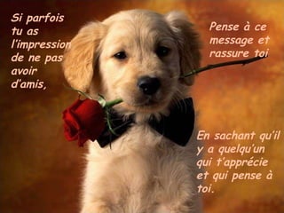 Si parfois tu as l’impression de ne pas avoir d’amis, Pense à ce message et rassure toi En sachant qu’il y a quelqu’un qui t’apprécie et qui pense à toi. 