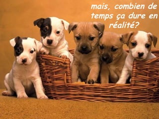 mais, combien de temps ça dure en réalité? 