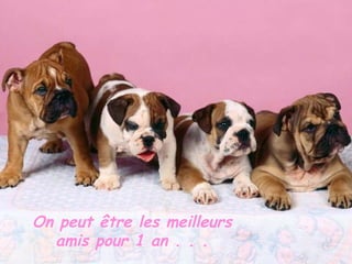 On peut être les meilleurs amis pour 1 an . . . 