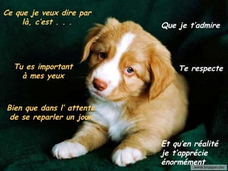 Ce que je veux dire par là, c’est . . . Tu es important à mes yeux Bien que dans l’ attente de se reparler un jour Que je t’admire Te respecte Et qu’en réalité je t’apprécie énormément 