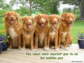 Tes vieux amis sauront que tu ne les oublies pas 