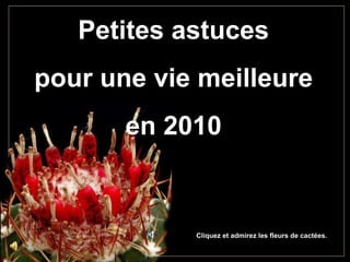 Petites astuces pour une vie meilleure en 2010 Cliquez et admirez les fleurs de cactées. 