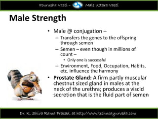 Prostate Chestnut Pourusha vasti ksr | PDF