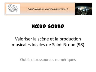 Saint-Nœud, le vent du mouvement !

NŒUD SOUND
Valoriser la scène et la production
musicales locales de Saint-Nœud (98)
Outils et ressources numériques

 