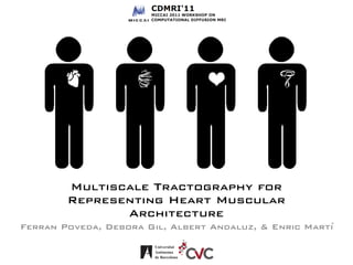 Multiscale Tractography for
Representing Heart Muscular
Architecture
Ferran Poveda, Debora Gil, Albert Andaluz, & Enric Marti´
Universitat
Autònoma
de Barcelona
 