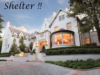 Shelter !!  