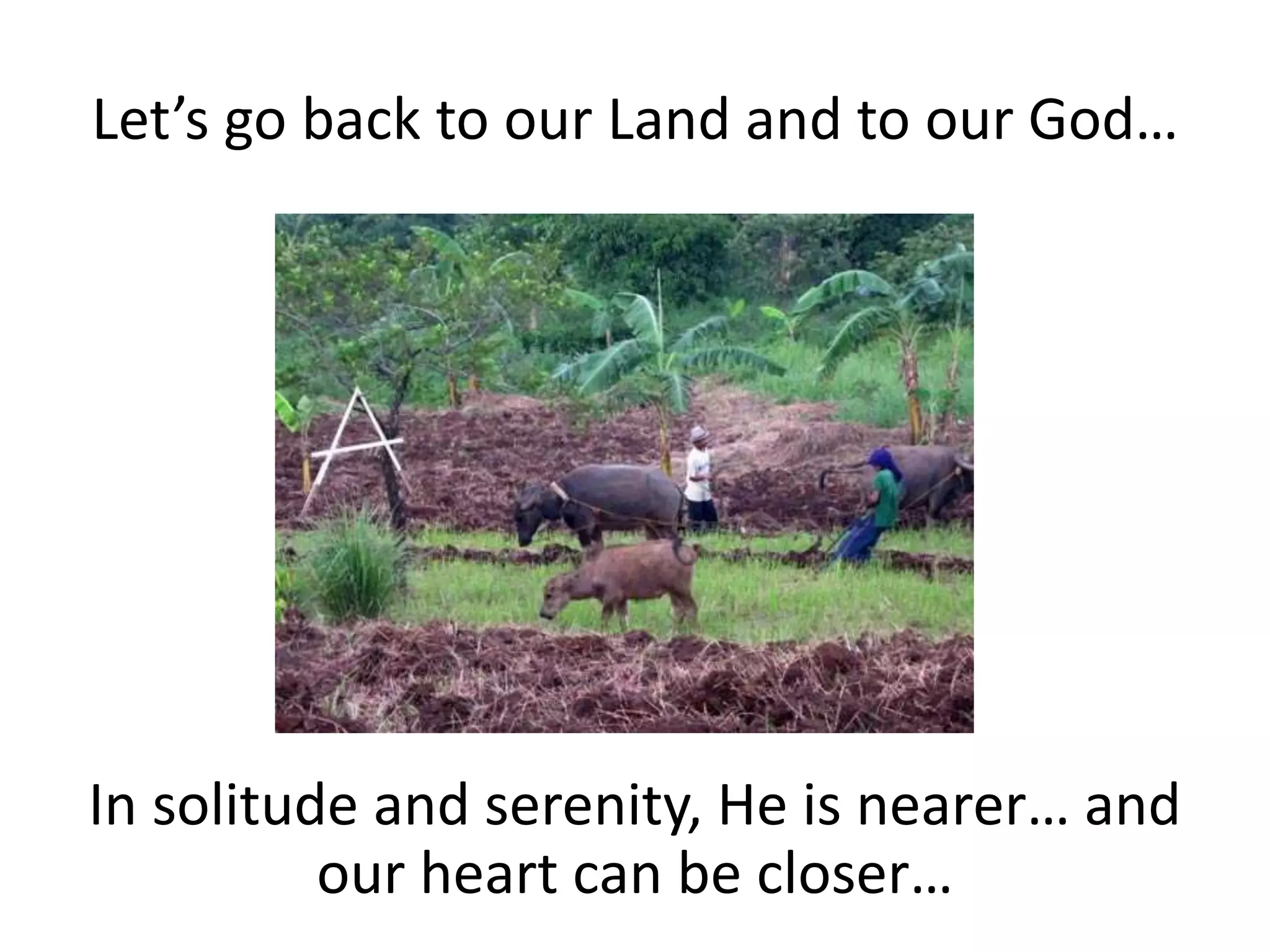 Let’s go back to our Land and to our God…
In solitude and serenity, He is nearer… and
our heart can be closer…
 