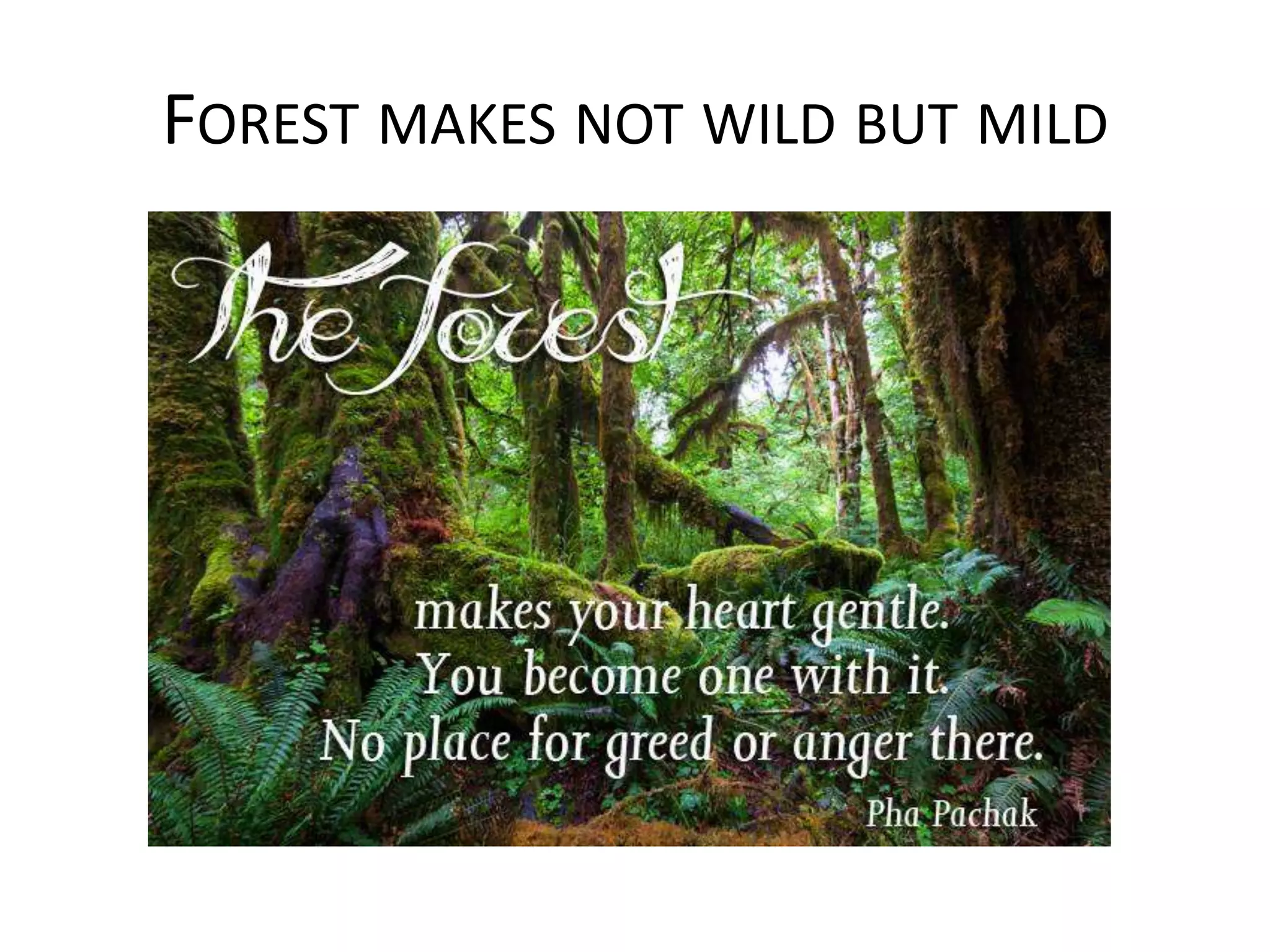 FOREST MAKES NOT WILD BUT MILD
 