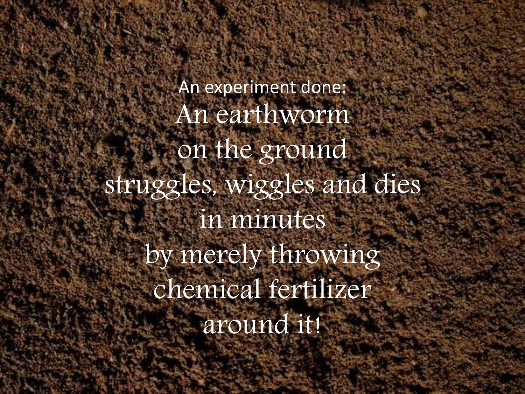 An experiment done:
An earthworm
on the ground
struggles, wiggles and dies
in minutes
by merely throwing
chemical fertilizer
around it!
 