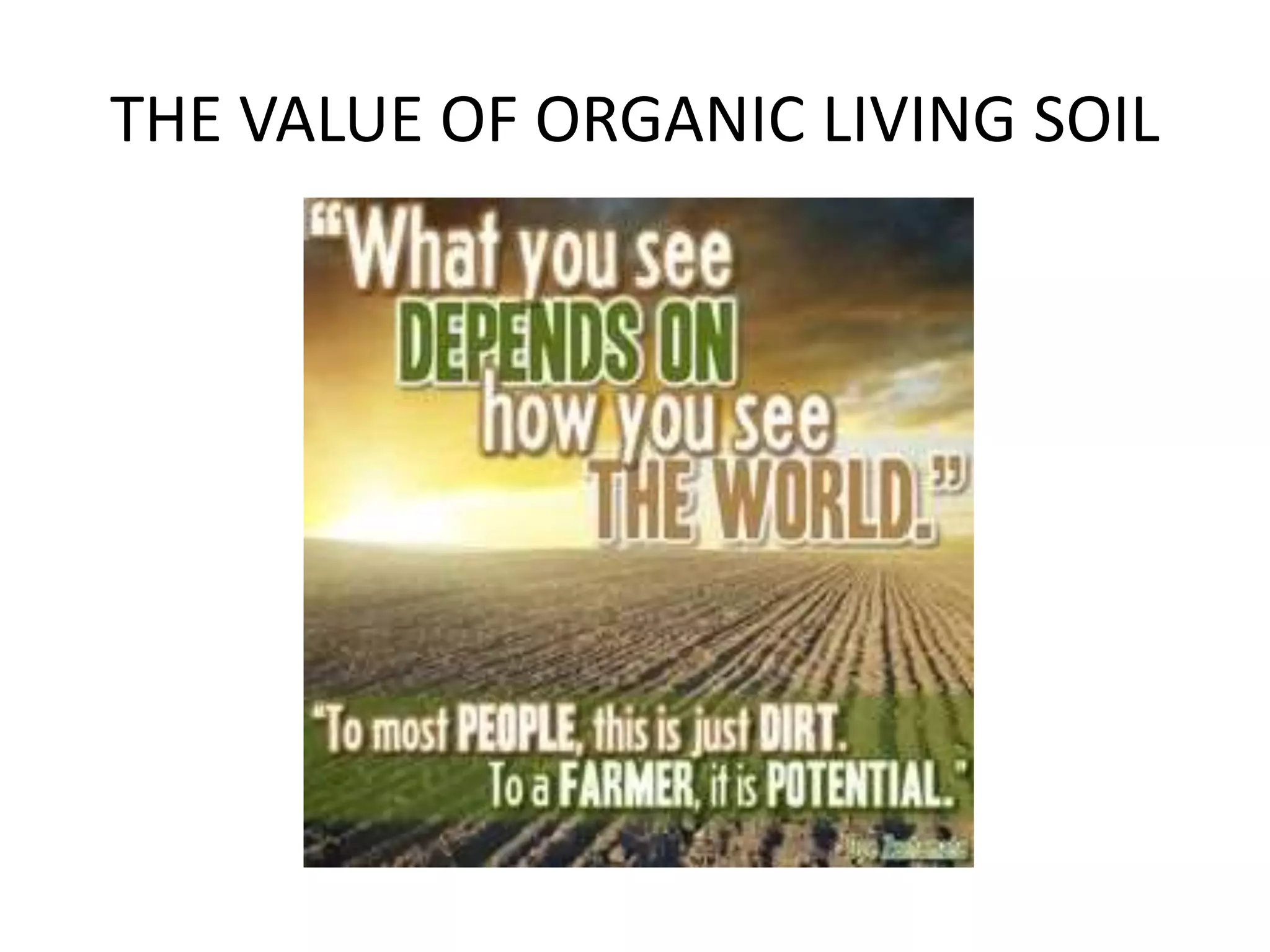 THE VALUE OF ORGANIC LIVING SOIL
 