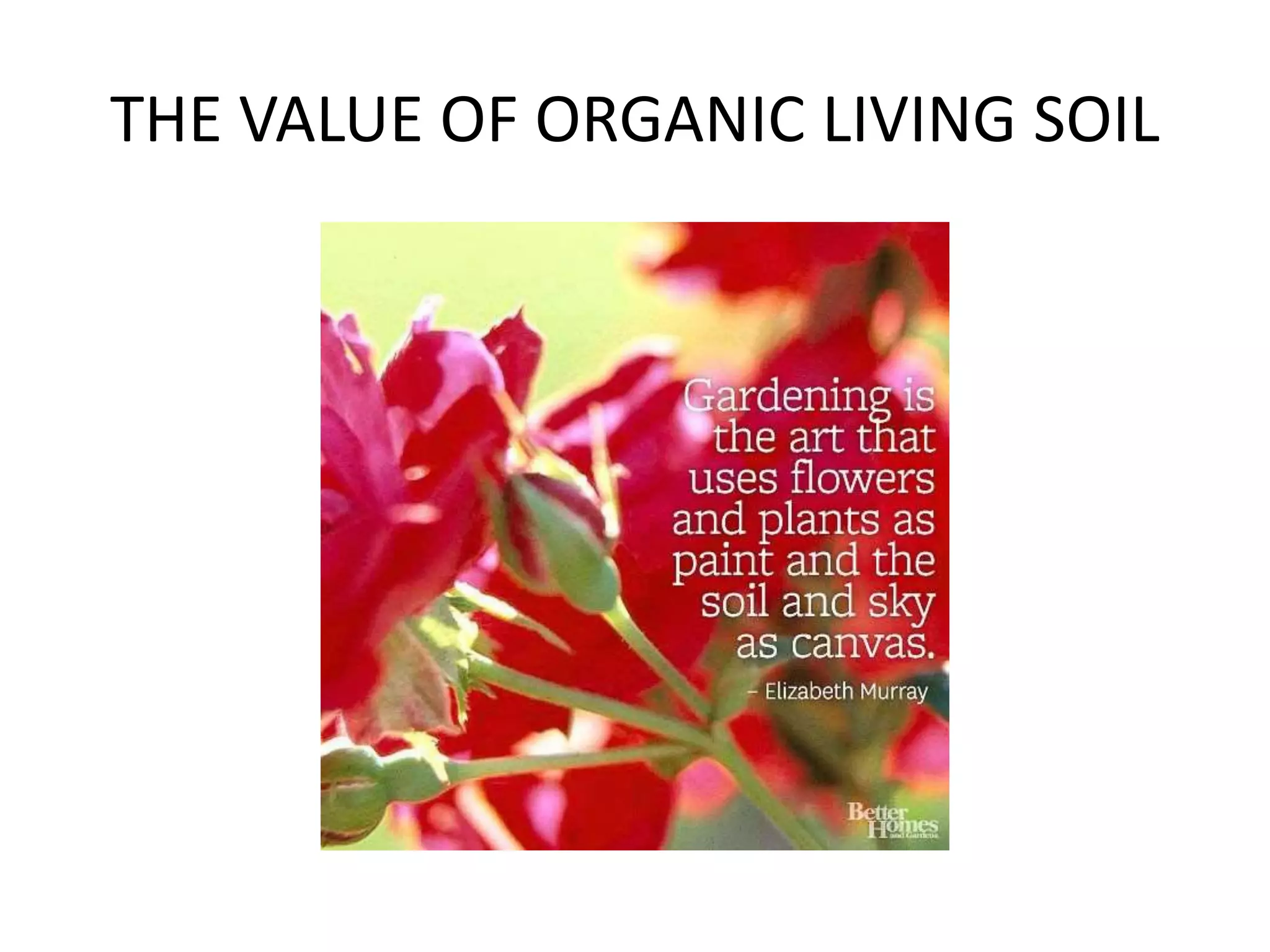THE VALUE OF ORGANIC LIVING SOIL
 