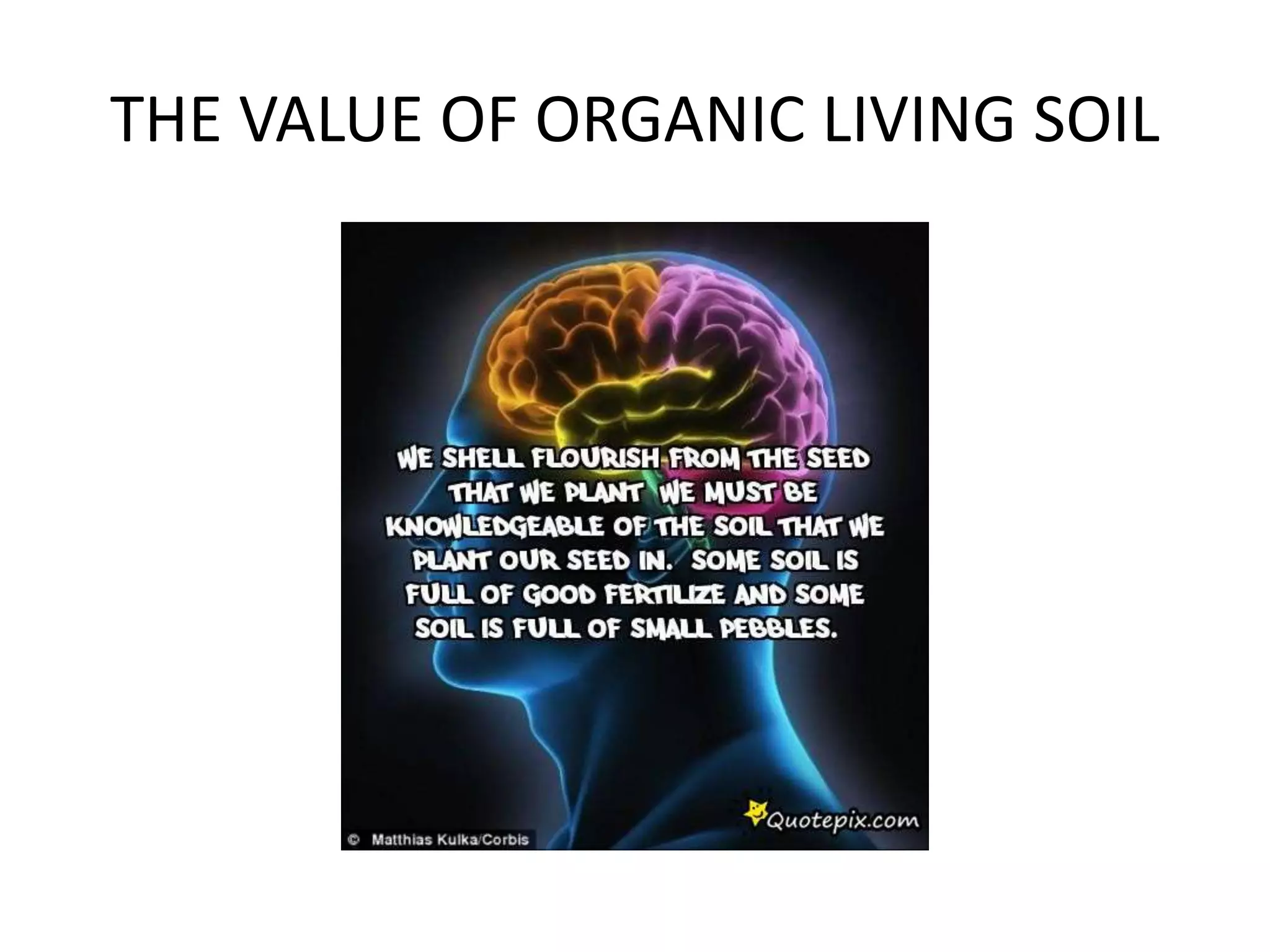 THE VALUE OF ORGANIC LIVING SOIL
 
