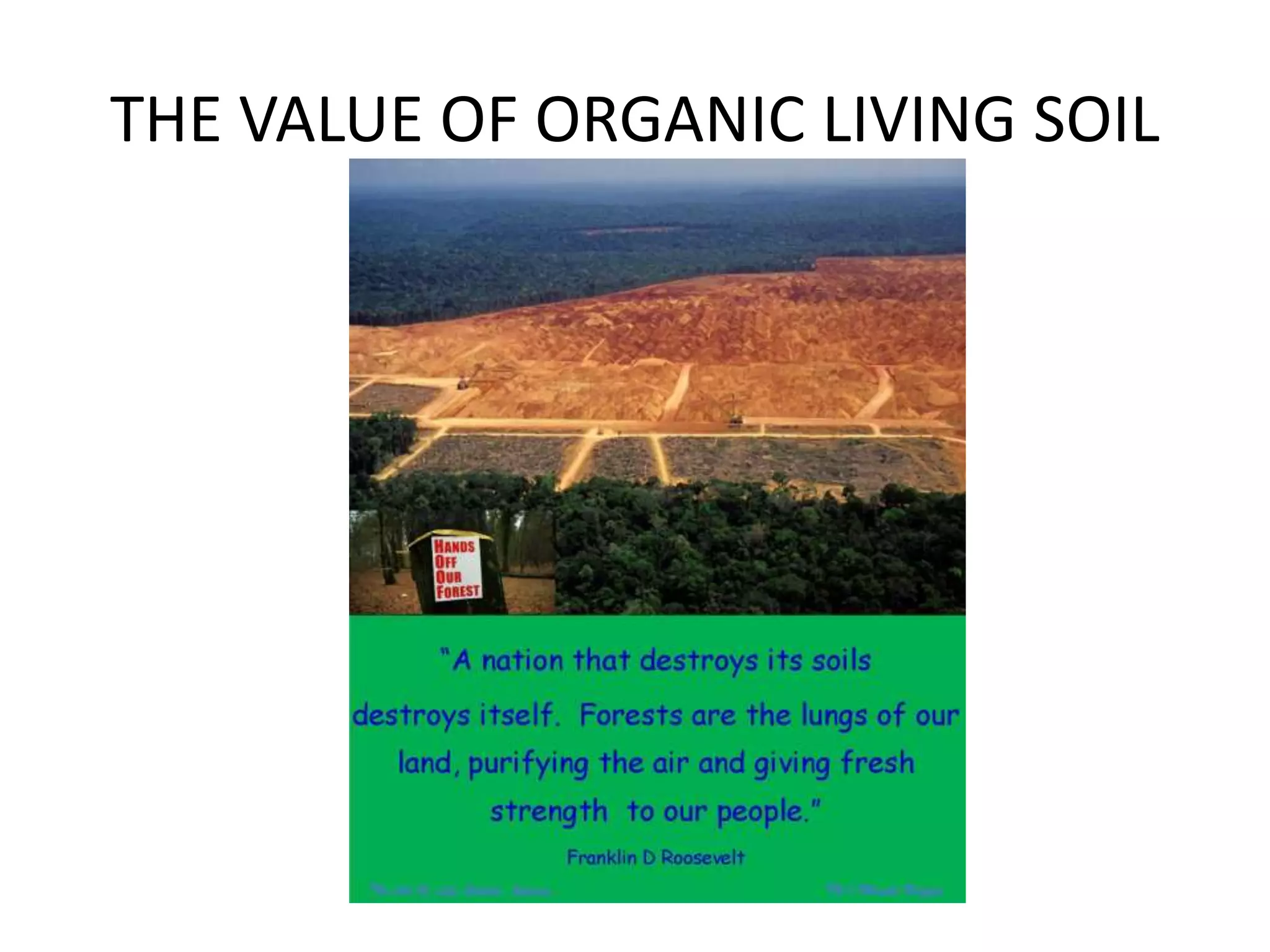 THE VALUE OF ORGANIC LIVING SOIL
 