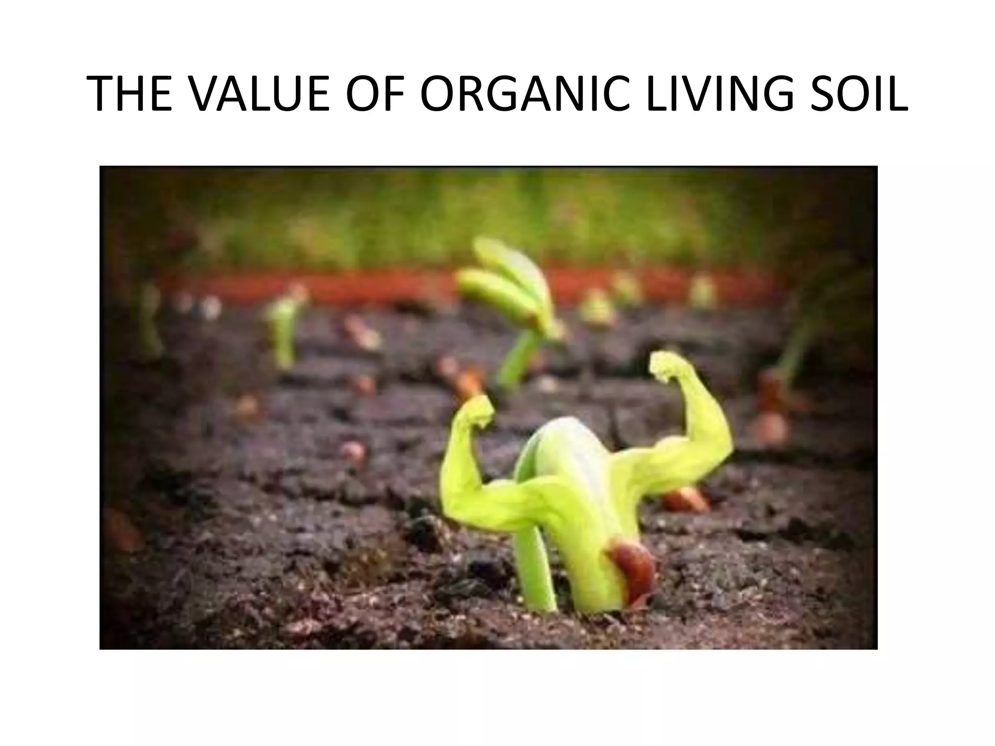 THE VALUE OF ORGANIC LIVING SOIL
 