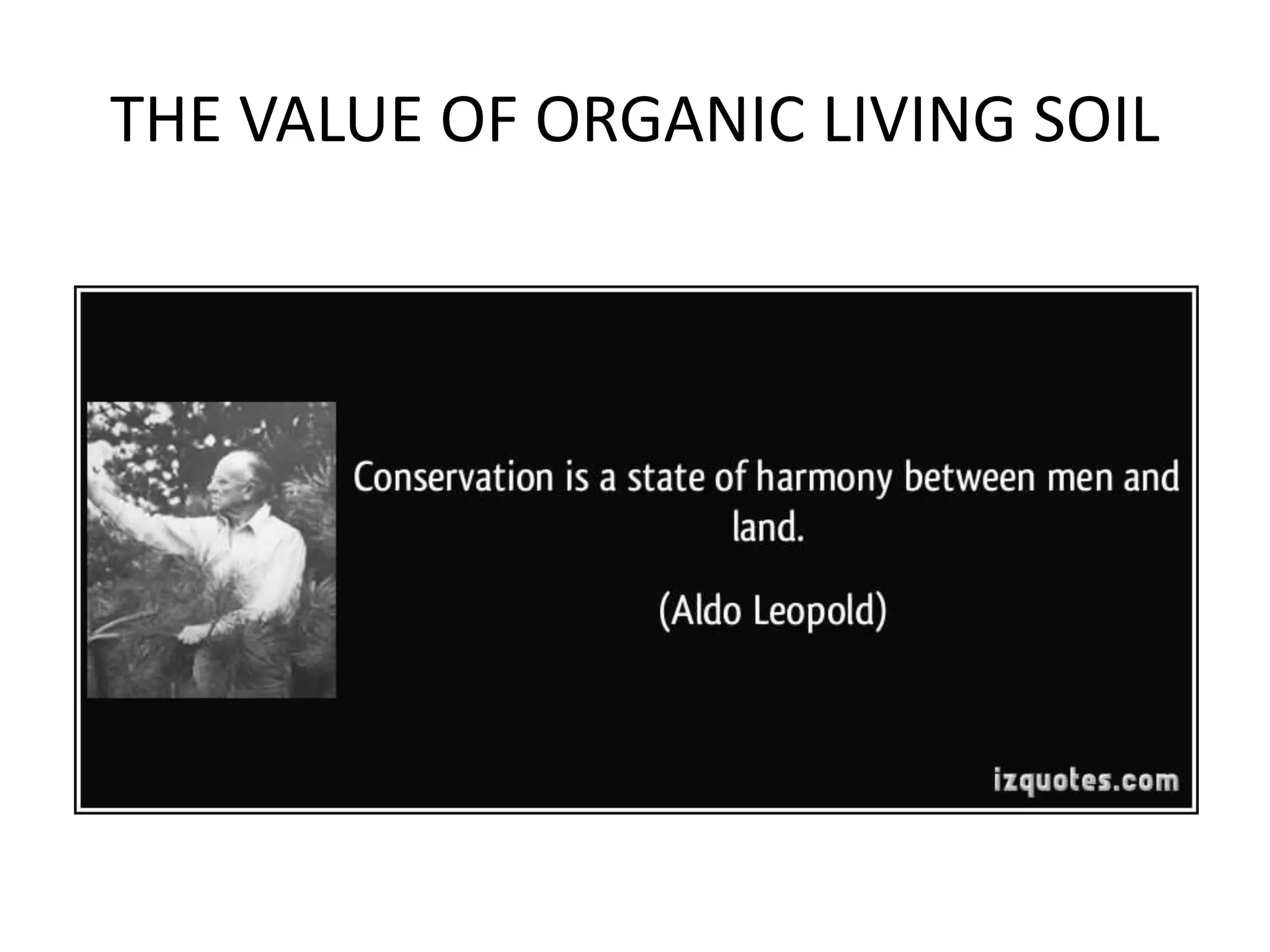 THE VALUE OF ORGANIC LIVING SOIL
 