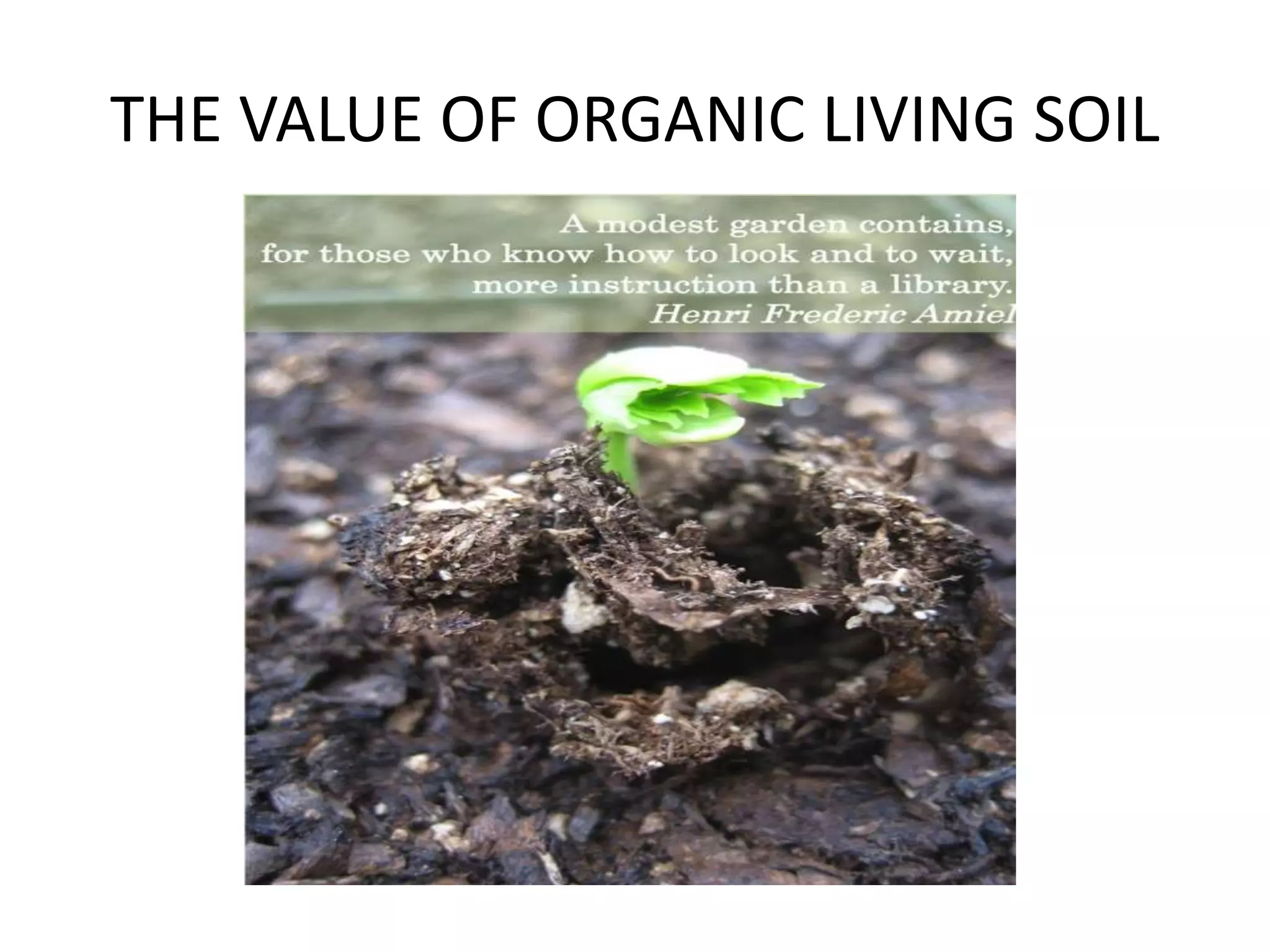 THE VALUE OF ORGANIC LIVING SOIL
 