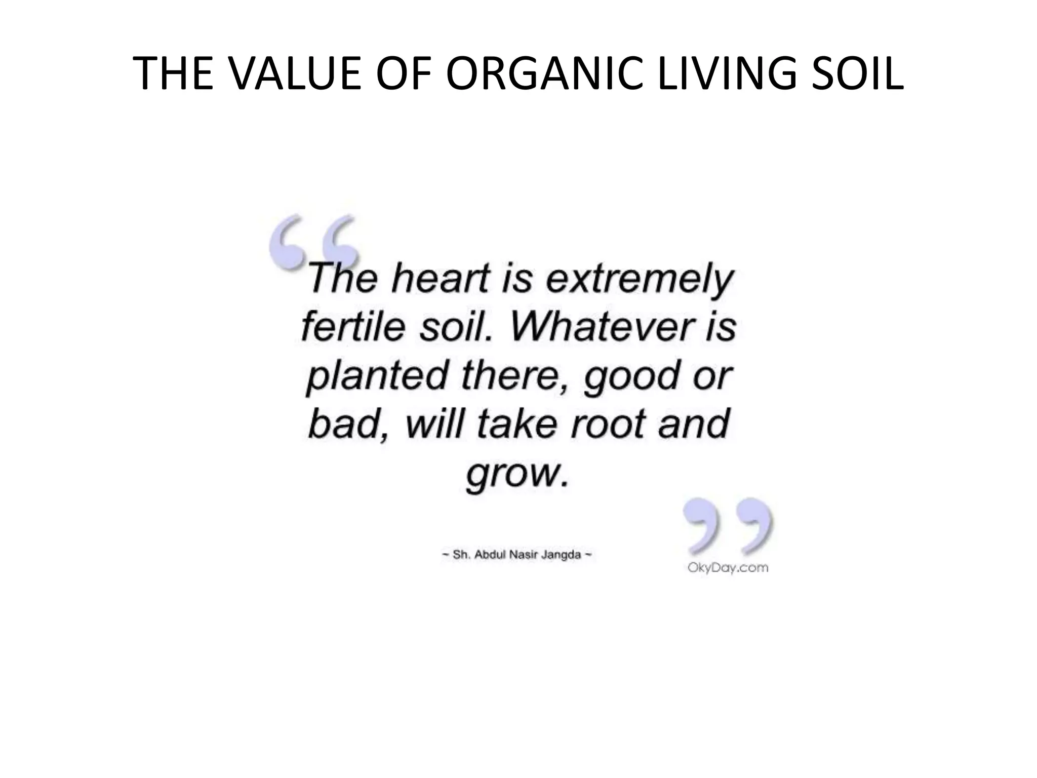 THE VALUE OF ORGANIC LIVING SOIL
 