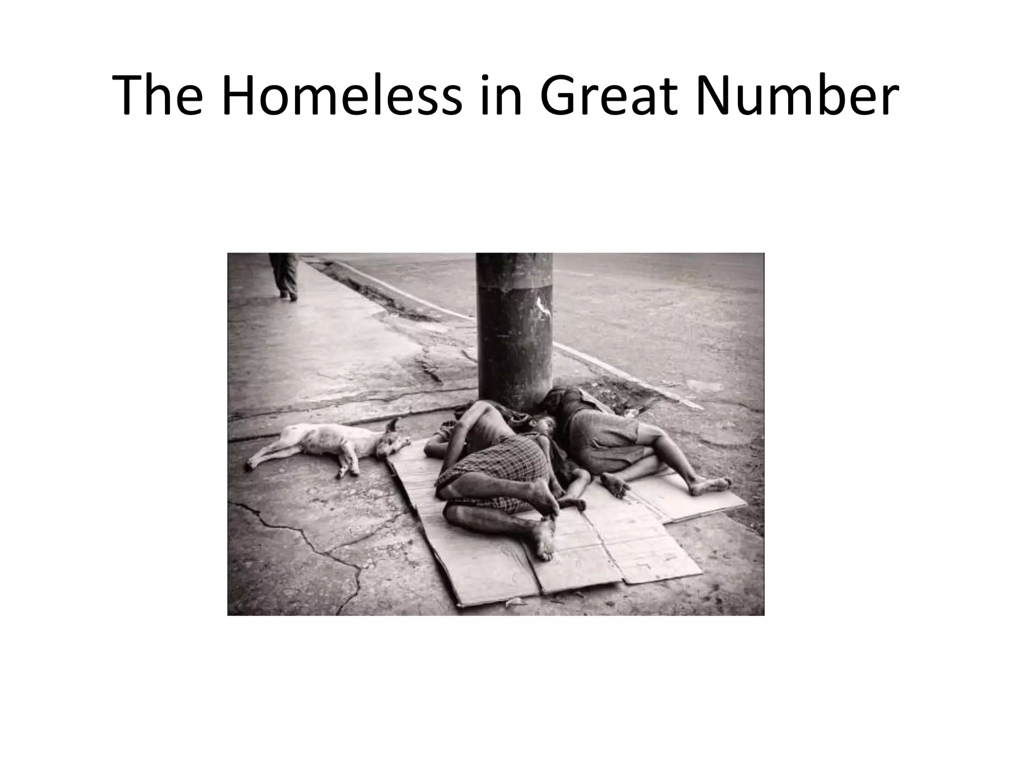 The Homeless in Great Number
 
