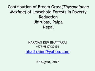 Contribution of Broom Grass(Thysanolaena
Maxima) of Leasehold Forests in Poverty
Reduction
Jhirubas, Palpa
Nepal
NARAYAN DEV BHATTARAI
+977-9847430151
bhattraind@yahoo.com
4th August, 2017
 