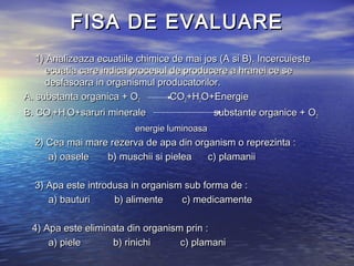 FISA DE EVALUAREFISA DE EVALUARE
1) Analizeaza ecuatiile chimice de mai jos (A si B). Incercuieste1) Analizeaza ecuatiile chimice de mai jos (A si B). Incercuieste
ecuatia care indica procesul de producere a hranei ce seecuatia care indica procesul de producere a hranei ce se
desfasoara in organismul producatorilor.desfasoara in organismul producatorilor.
A. substanta organica + OA. substanta organica + O22 COCO22+H+H22O+EnergieO+Energie
B. COB. CO22+H+H22O+saruri minerale substante organice + OO+saruri minerale substante organice + O22
energie luminoasaenergie luminoasa
2) Cea mai mare rezerva de apa din organism o reprezinta :2) Cea mai mare rezerva de apa din organism o reprezinta :
a) oasele b) muschii si pielea c) plamaniia) oasele b) muschii si pielea c) plamanii
3) Apa este introdusa in organism sub forma de :3) Apa este introdusa in organism sub forma de :
a) bauturi b) alimente c) medicamentea) bauturi b) alimente c) medicamente
4) Apa este eliminata din organism prin :4) Apa este eliminata din organism prin :
a) piele b) rinichi c) plamania) piele b) rinichi c) plamani
 