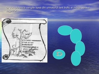 5) Completeaza verigile lipsa din urmatorul lant trofic si indica sensul5) Completeaza verigile lipsa din urmatorul lant trofic si indica sensul
sagetilorsagetilor
 