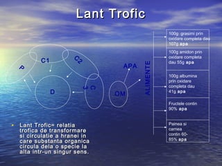 Lant TroficLant Trofic
• Lant Trofic= relatiaLant Trofic= relatia
trofica de transformaretrofica de transformare
si circulatie a hranei insi circulatie a hranei in
care substanta organicacare substanta organica
circula dela o specie lacircula dela o specie la
alta intr-un singur sens.alta intr-un singur sens.
P
C1
C
2
C
3
D OM
APA
ALIMENTE
100g grasimi prin
oxidare completa dau
107g apa
100g amidon prin
oxidare completa
dau 55g apa
100g albumina
prin oxidare
completa dau
41g apa
Fructele contin
90% apa
Painea si
carnea
contin 60-
85% apa
 