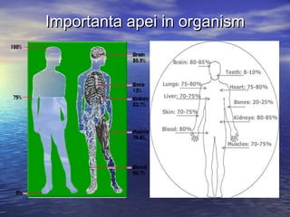 Importanta apei in organismImportanta apei in organism
 