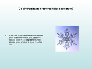 Ce sincronizeaza cresterea celor sase brate?
• Cele şase braţe ale unui cristal de zăpadă
cresc toate independent. Dar, deoarece
acestea cresc în aceleaşi condiţii, toate
şase au forme similare si cresc in acelasi
ritm
 