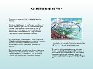 Cat traiesc fulgii de nea?
Povestea lor este cuprinsa in circuitul apei in
natura:
Murdaria si particulele de praf se pot amesteca in
apa si pot afecta greutatea si durabilitatea fulgilor
de nea. Particulele de murdarie fac un fulg de
zapada sa fie mai greu; de asemenea, acestea
afecteaza durabilitatea zapezii. Fulgii ce contin
particule de murdarie se topesc mai usor.
Fulgii de zapada nu sunt identici si nici nu sunt la
fel pe toate laturile deoarece temperaturile instabile,
prezenta murdariei si alti factori existenti in
atmosfera pot produce asimetria unui fulg de
zapada.
Cu toate acestea, este adevarat si ca o multime de
fulgi de nea sunt simetrici si incalciti. Acest lucru se
datoreaza faptului ca forma unui fulg de zapada
reflecta ordinea interna a moleculelor de apa.
Aparitia lor se intampla în jurul temperaturii de
-10 ° C (14 F), si este un proces gradual
În cazul în care o picătură special, îngheaţă,
devine o particulă mică de gheaţă înconjurat de
picăturile de apă lichidă rămasă în nor.Aceasta
creste pe masura ce la suprafata gheatii se
condensează vaporii de apa, formând un fulg de
nea
 