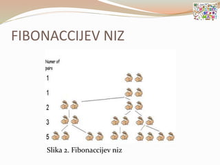 FIBONACCIJEV NIZ
Slika 2. Fibonaccijev niz
 