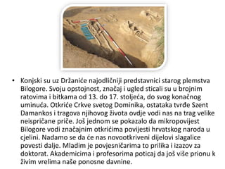 • Konjski su uz Držaniće najodličniji predstavnici starog plemstva
Bilogore. Svoju opstojnost, značaj i ugled sticali su u brojnim
ratovima i bitkama od 13. do 17. stoljeća, do svog konačnog
uminuća. Otkriće Crkve svetog Dominika, ostataka tvrđe Szent
Damankos i tragova njihovog života ovdje vodi nas na trag velike
neispričane priče. Još jednom se pokazalo da mikropovijest
Bilogore vodi značajnim otkrićima povijesti hrvatskog naroda u
cjelini. Nadamo se da će nas novootkriveni dijelovi slagalice
povesti dalje. Mladim je povjesničarima to prilika i izazov za
doktorat. Akademicima i profesorima poticaj da još više prionu k
živim vrelima naše ponosne davnine.
 