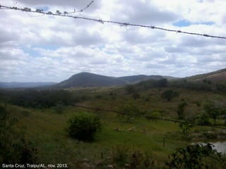 Santa Cruz, Traipu/AL, nov. 2013.
 