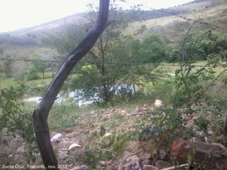 Santa Cruz, Traipu/AL, nov. 2013.
 