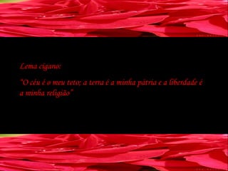 Lema cigano: “ O céu é o meu teto; a terra é a minha pátria e a liberdade é a minha religião” 