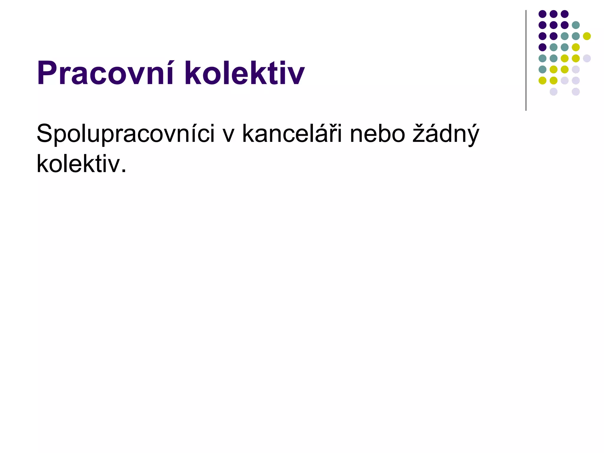 Pracovní kolektiv Spolupracovníci v kanceláři nebo žádný kolektiv. 