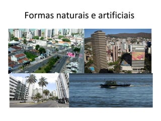 Formas naturais e artificiais  