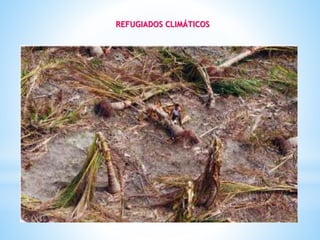 REFUGIADOS CLIMÁTICOS
 
