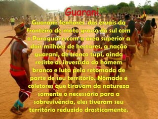Guarani.Guarani: Senhores  dos ervais da fronteira de mato grosso do sul com o Paraguai e com a área superior a dois milhões de hectares, a nação guarani, de tronco tupi, ainda resiste as investida do homem branco e luta pela retomada de parte de seu território. Nômade e coletores que tiravam da natureza somente o necessário para a sobrevivência, eles tiveram seu território reduzido drasticamente.